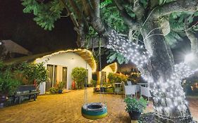 Cocoon Bungalow