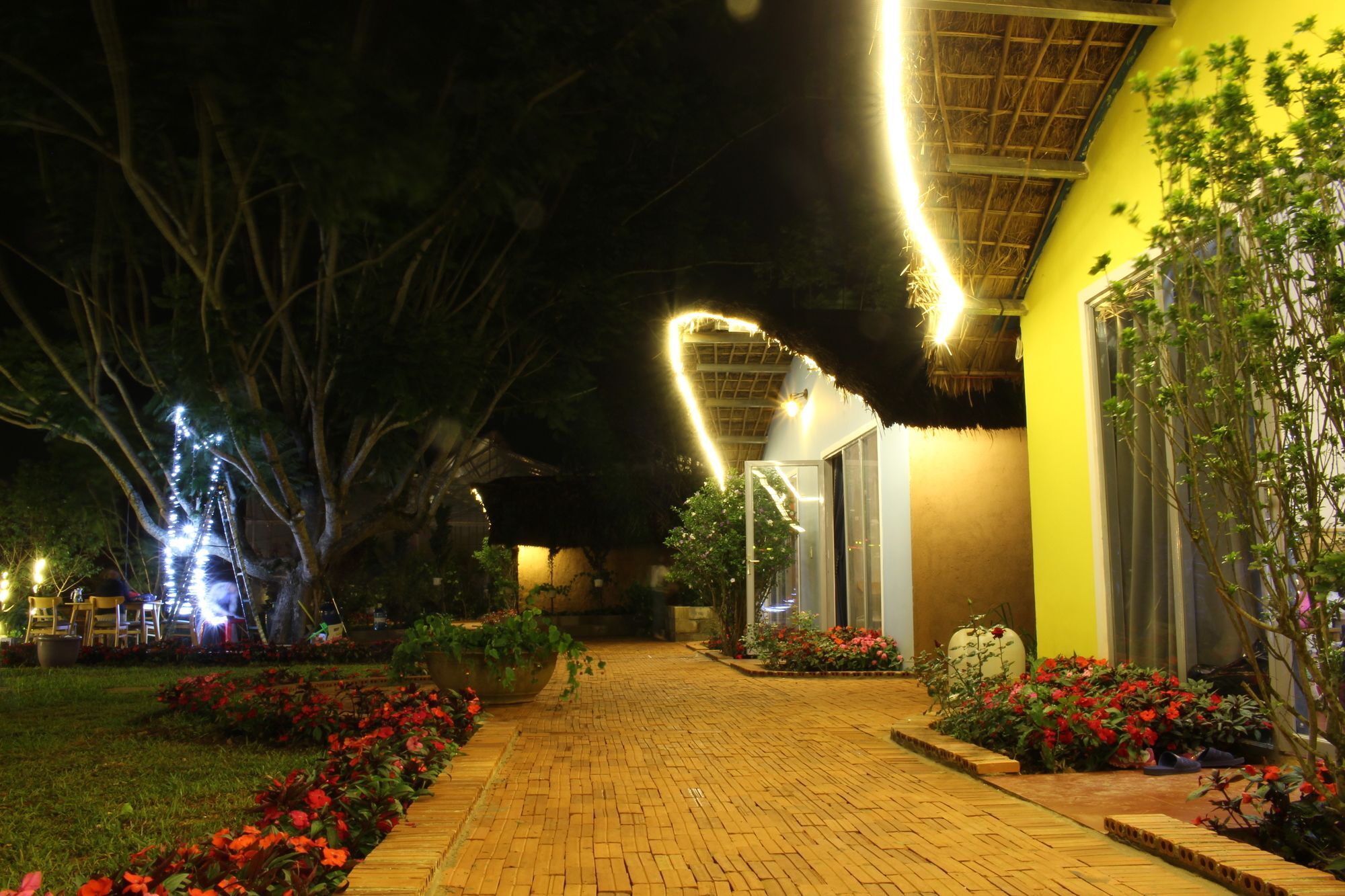 Cocoon Bungalow Đà Lạt Ngoại thất bức ảnh